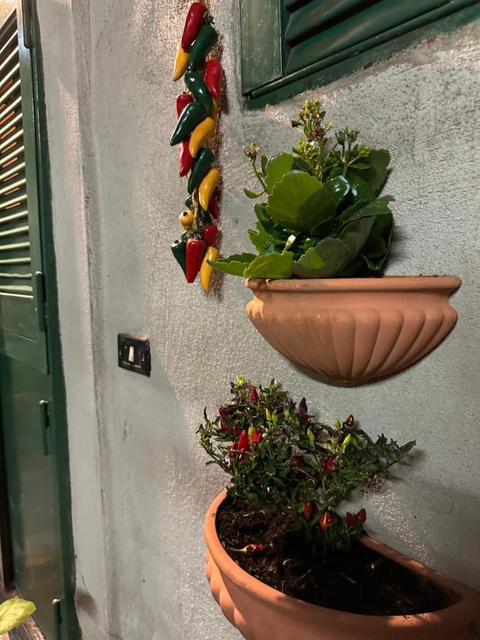 Apartamento Tiny House - Spaccanapoli Exterior foto
